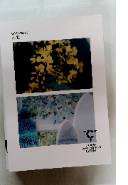 CARAT MAGAZINE　VOL.12