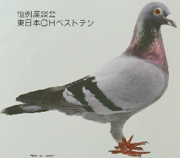 Aikyu no tomo　9/1991