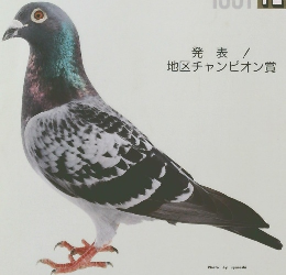 Aikyu no tomo　1991年12月号