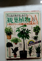 こんなときどうしたら? 観葉植物 Q&A　人気のグリーン53種の応急対策、育て方