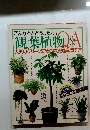 こんなときどうしたら? 観葉植物 Q&A　人気のグリーン53種の応急対策、育て方
