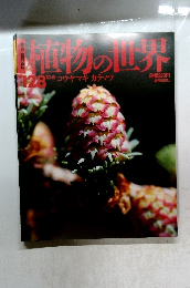 植物の世界　128　コウヤマキ カラマツ
