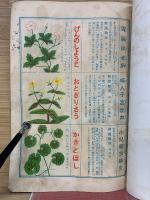 自然の恩恵　薬用植物