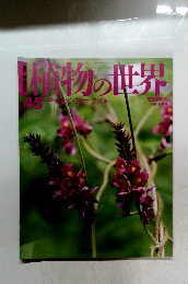 植物の世界　45
