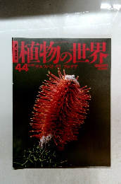 植物の世界　44　サルスベリグプロテア