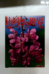 植物の世界43　ノボタンツヨイグサ