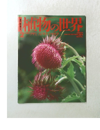 植物の世界 2　4/24　