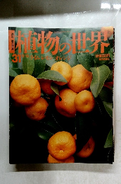植物の世界　31