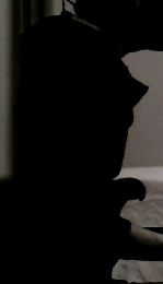 BROS. No.109　2016年1月30日発行