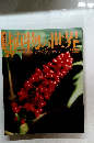 植物の世界29