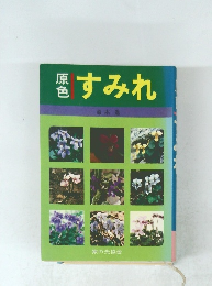 原色　すみれ