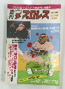 ザ・プロレス No.179号　6・19