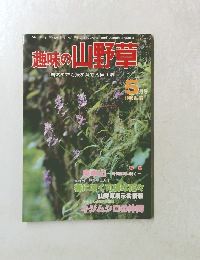 趣味の山野草　1982年5月号