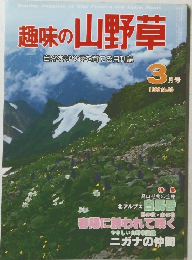 趣味の山野草　1982年3月号　No.20