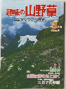趣味の山野草　1982年3月号　No.20