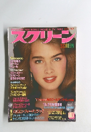 スクリーン 11