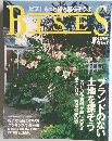 BISES 2000年2月　