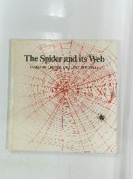 The Spider and its Web