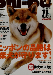 Shi-Ba　２００７年１１月