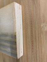 年譜　斎藤茂吉伝