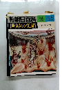 朝日百科 39　世界の美術 12/24