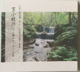 苫小牧川　山奥に入っていくもの