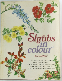 Shrubs in colour