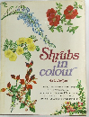 Shrubs in colour