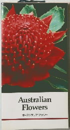 Australian Flowers