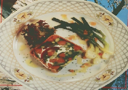 THURIES MAGAZINE  REPAS PRINTANIER　