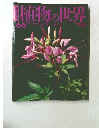 植物の世界66
