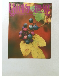 植物の世界37　ブドウ・ヤマブドウ・ツタ