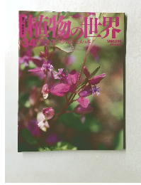 植物の世界　34