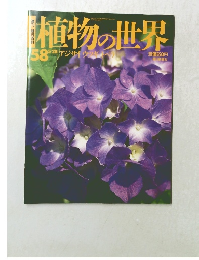 植物の世界　58