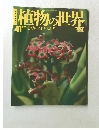 植物の世界 41