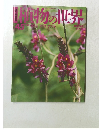 植物の世界　４５　２月２６日号