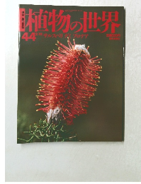 植物の世界44
