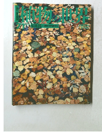 週刊朝日百科 植物の世界　71　夏緑林 帯の森の植物たち