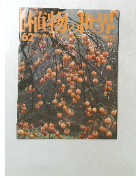植物の世界62　