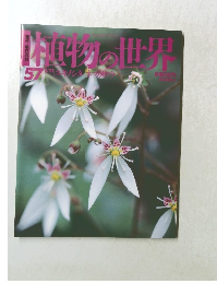 植物の世界57