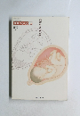 病気がみえる　Vol.10　Obstetrics