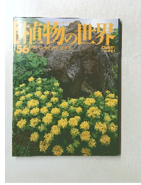 直物世界56　ベンケイソウスクリ