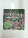 下野路に咲く　四季の野の花・山の花