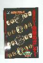 全日本プロレス　極限の闘い~栄冠めざして~
