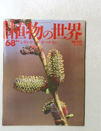 植物の世界 68 シダレヤンギ ヤマナラシ