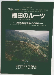 棚田のルーツ　2001