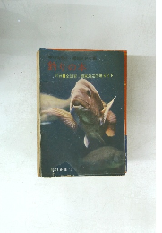 釣りの本