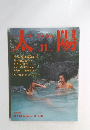 太陽　1986年11月 NO 284