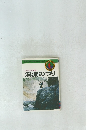 入門から研究へ　渓流のつり