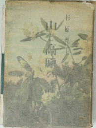 山と高原の詩
